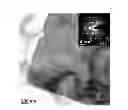 Fig. 01 - Metal silicate nanosheets, methods of making metal silicate nanosheets, and methods of use