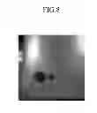 Fig. 08 - Article and manufacturing method of article
