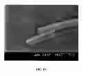 Fig. 04 - PEPTIDE NANOTUBE DEVICE AND MANUFACTURING METHOD THEREOF