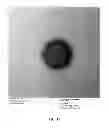 Fig. 07 - PEPTIDE NANOTUBE DEVICE AND MANUFACTURING METHOD THEREOF