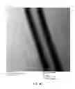 Fig. 08 - PEPTIDE NANOTUBE DEVICE AND MANUFACTURING METHOD THEREOF
