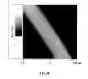 Fig. 09 - PEPTIDE NANOTUBE DEVICE AND MANUFACTURING METHOD THEREOF