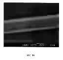 Fig. 12 - PEPTIDE NANOTUBE DEVICE AND MANUFACTURING METHOD THEREOF