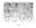 Fig. 20 - PEPTIDE NANOTUBE DEVICE AND MANUFACTURING METHOD THEREOF