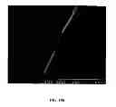 Fig. 27 - PEPTIDE NANOTUBE DEVICE AND MANUFACTURING METHOD THEREOF