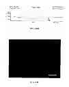 Fig. 29 - PEPTIDE NANOTUBE DEVICE AND MANUFACTURING METHOD THEREOF