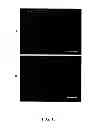 Fig. 31 - PEPTIDE NANOTUBE DEVICE AND MANUFACTURING METHOD THEREOF