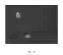 Fig. 35 - PEPTIDE NANOTUBE DEVICE AND MANUFACTURING METHOD THEREOF