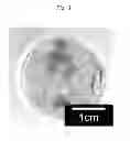 Fig. 04 - Alloy powder for oxidation-resistant coating, and alloy material formed of the powder and excellent in oxidation resistance characteristics
