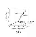 Fig. 05 - Perpendicular magnetic recording medium and method for manufacturing the same