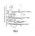 Fig. 06 - Perpendicular magnetic recording medium and method for manufacturing the same