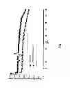 Fig. 06 - Primer for battery electrode