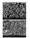 Fig. 01 - Encapsulated phthalocyanine particles, high-capacity cathode containing these particles, and rechargeable lithium cell containing such a cathode