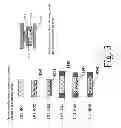Fig. 04 - ELECTROCHEMICAL DEVICE