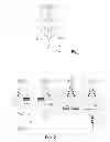 Fig. 02 - MULTIPLE INJECTION FUEL CELL AND OPERATING METHOD THEREOF