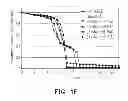 Fig. 04 - Attenuated phase shift mask for multi-patterning