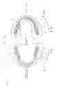 Fig. 02 - Artificial teeth