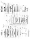 Fig. 02 - SYSTEM AND METHOD OF TESTING CANDIDATES' SKILL OF USE OF CUTTING TOOLS AND COMPILING AND MANAGING DATA RELATED TO CANDIDATES' TEST RESULTS AND PROVIDING DATA TO POTENTIAL EMPLOYERS