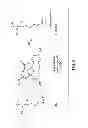 Fig. 09 - Composition, device and associated method