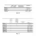 Fig. 07 - SYSTEMS, DEVICES, AND METHODS FOR IDENTIFYING A DISEASE STATE IN A BIOLOGICAL HOST USING INTERNAL CONTROLS