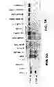 Fig. 04 - Lafora's disease gene