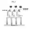 Fig. 02 - Dual function in vitro target binding assay for the detection of neutralizing antibodies against target antibodies