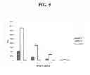 Fig. 06 - Dual function in vitro target binding assay for the detection of neutralizing antibodies against target antibodies