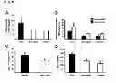 Fig. 09 - SOLUBLE GP130 MUTEINS WITH IMPROVED BINDING ACTIVITY