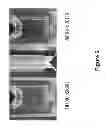 Fig. 06 - Fluorescent substrate for detection of enzymatic activity of nitrile-related enzyme
