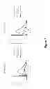 Fig. 08 - Fluorescent substrate for detection of enzymatic activity of nitrile-related enzyme