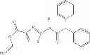 Fig. 315 - Modulators of ATP-binding cassette transporters