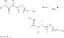 Fig. 331 - Modulators of ATP-binding cassette transporters