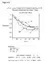 Fig. 06 - METHODS OF SIMULATING CHEMOTHERAPY FOR A PATIENT