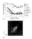 Fig. 06 - SCREENING AND ENRICHMENT SYSTEM FOR PROTEIN EXPRESSION IN EUKARYOTIC CELLS USING A TRICISTRONIC EXPRESSION CASSETTE