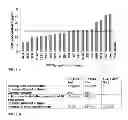 Fig. 09 - SCREENING AND ENRICHMENT SYSTEM FOR PROTEIN EXPRESSION IN EUKARYOTIC CELLS USING A TRICISTRONIC EXPRESSION CASSETTE