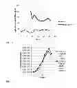 Fig. 12 - SCREENING AND ENRICHMENT SYSTEM FOR PROTEIN EXPRESSION IN EUKARYOTIC CELLS USING A TRICISTRONIC EXPRESSION CASSETTE
