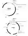 Fig. 06 - Methods for producing secreted polypeptides