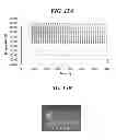 Fig. 17 - ULTRAFAST THERMAL CYCLER