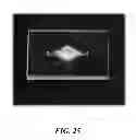 Fig. 27 - ULTRAFAST THERMAL CYCLER