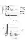Fig. 19 - Treatment of biomass to dissolve lignin with ionic liquid composition