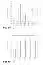 Fig. 75 - CELLULASE COMPOSITIONS AND METHODS OF USING THE SAME FOR IMPROVED CONVERSION OF LIGNOCELLULOSIC BIOMASS INTO FERMENTABLE SUGARS