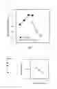 Fig. 06 - Phenylpyruvate reductase and method for manufacturing optically-active phenyllactic acid and 4-hydroxyl-phenyllactic acid using same enzyme