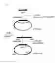 Fig. 07 - Phenylpyruvate reductase and method for manufacturing optically-active phenyllactic acid and 4-hydroxyl-phenyllactic acid using same enzyme