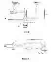 Fig. 02 - Microfluidic photoporation