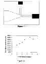Fig. 07 - Microfluidic photoporation