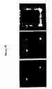 Fig. 08 - Microfluidic photoporation