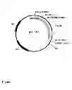 Fig. 02 - Detergent compositions containing mannanase and methods of use thereof
