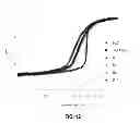 Fig. 09 - Low molecular weight branched polyamines for delivery of biologically active materials