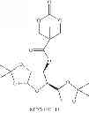 Fig. 26 - Low molecular weight branched polyamines for delivery of biologically active materials
