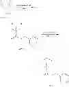 Fig. 59 - Low molecular weight branched polyamines for delivery of biologically active materials